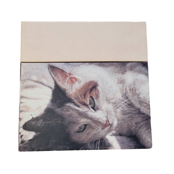 Bob's Boxes - Decorative Storage Box (Sunbathing Cat) - Picture 1 of 7